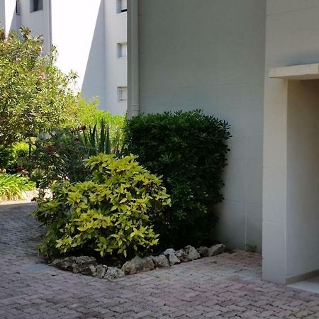 Green Cap D'أنتيب المظهر الخارجي الصورة