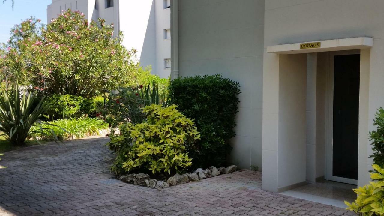 Green Cap D'أنتيب المظهر الخارجي الصورة