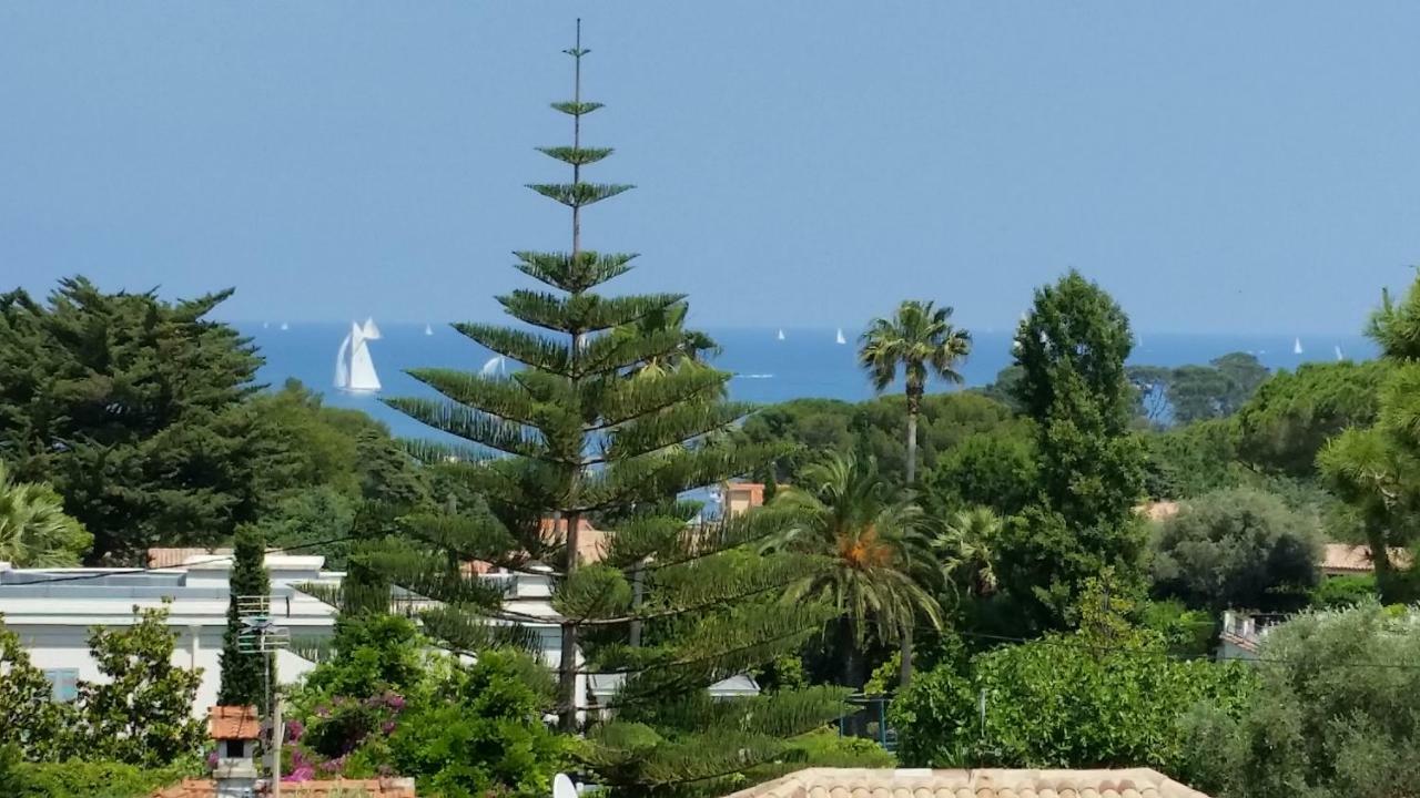 Green Cap D'أنتيب المظهر الخارجي الصورة