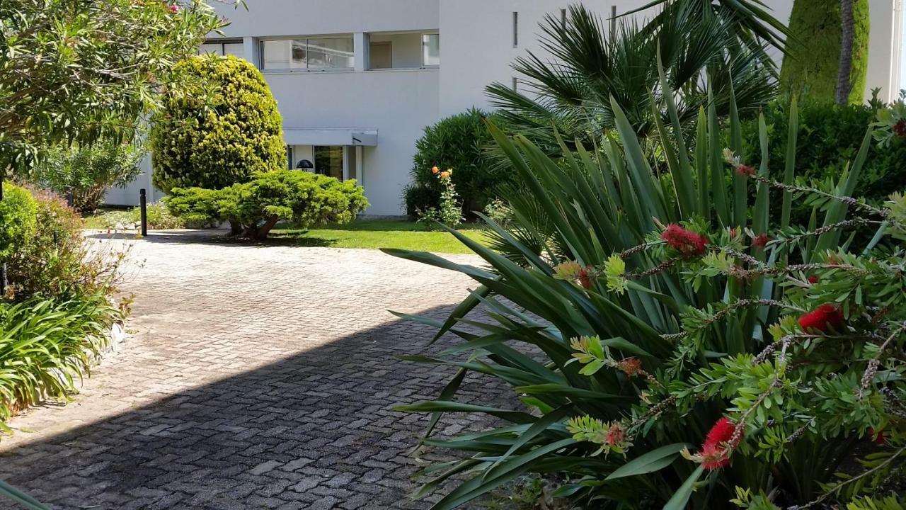 Green Cap D'أنتيب المظهر الخارجي الصورة